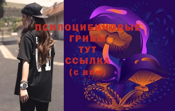 mdpv Алексин