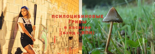 твердый Алексеевка