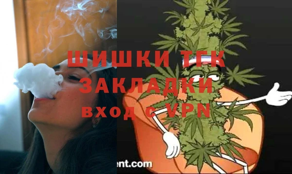 ГАЛЛЮЦИНОГЕННЫЕ ГРИБЫ Алзамай